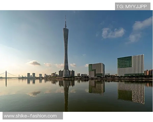 广州篮球队的奋斗历程与荣耀时刻全景纪实